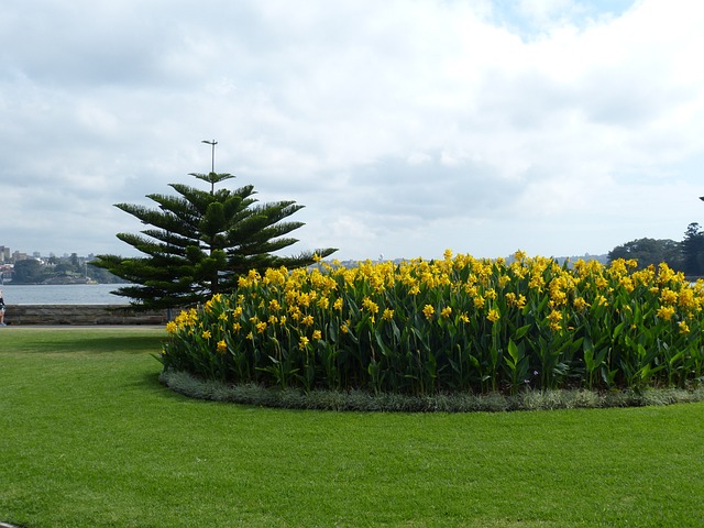 Botanic Gardens Stroll