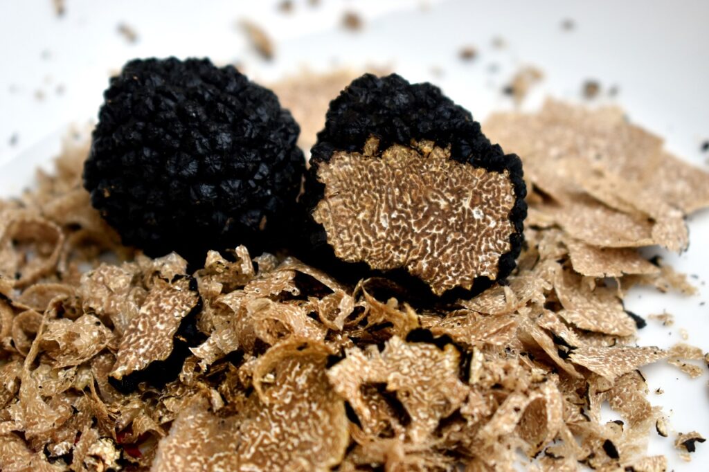 Canberra Truffle Hunt